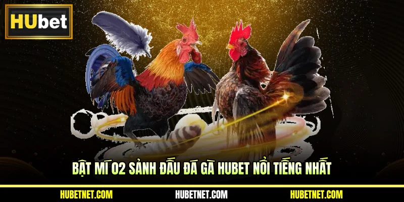 Bật mí 02 sảnh đấu đá gà Hubet nổi tiếng nhất