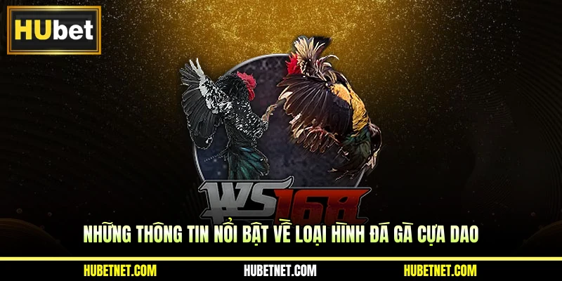 Những thông tin nổi bật về loại hình đá gà cựa dao