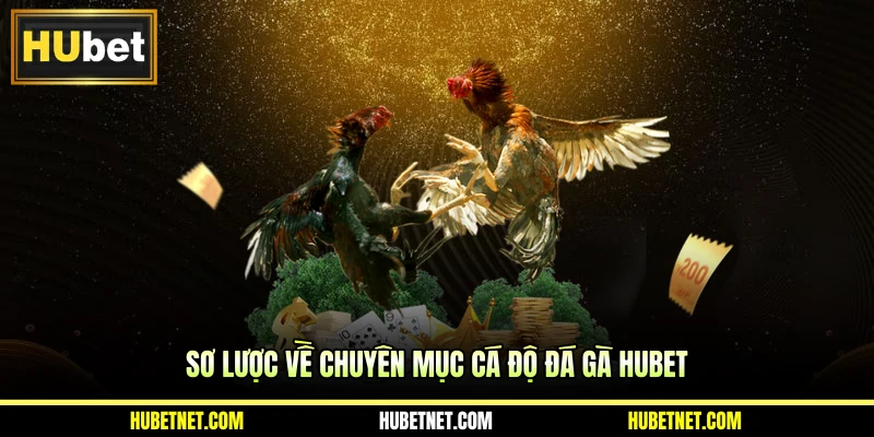 Sơ lược về chuyên mục cá độ đá gà Hubet