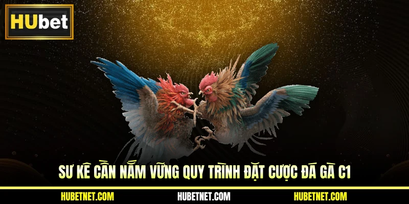 Sư kê cần nắm vững quy trình đặt cược đá gà C1