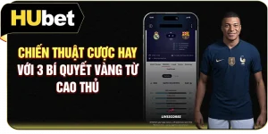 Chiến Thuật Cược Hay Với 3 Bí Quyết Vàng Từ Cao Thủ