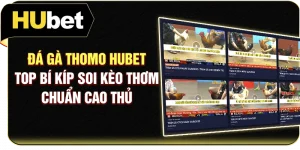 Đá Gà Thomo Hubet - Top Bí Kíp Soi Kèo Thơm Chuẩn Cao Thủ