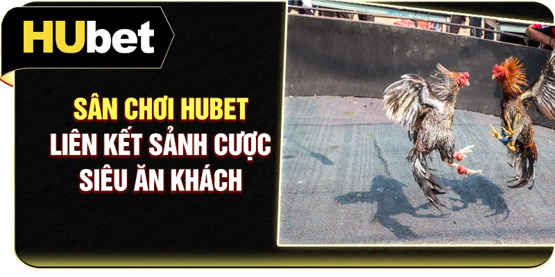 Sân chơi Hubet liên kết sảnh cược siêu ăn khách